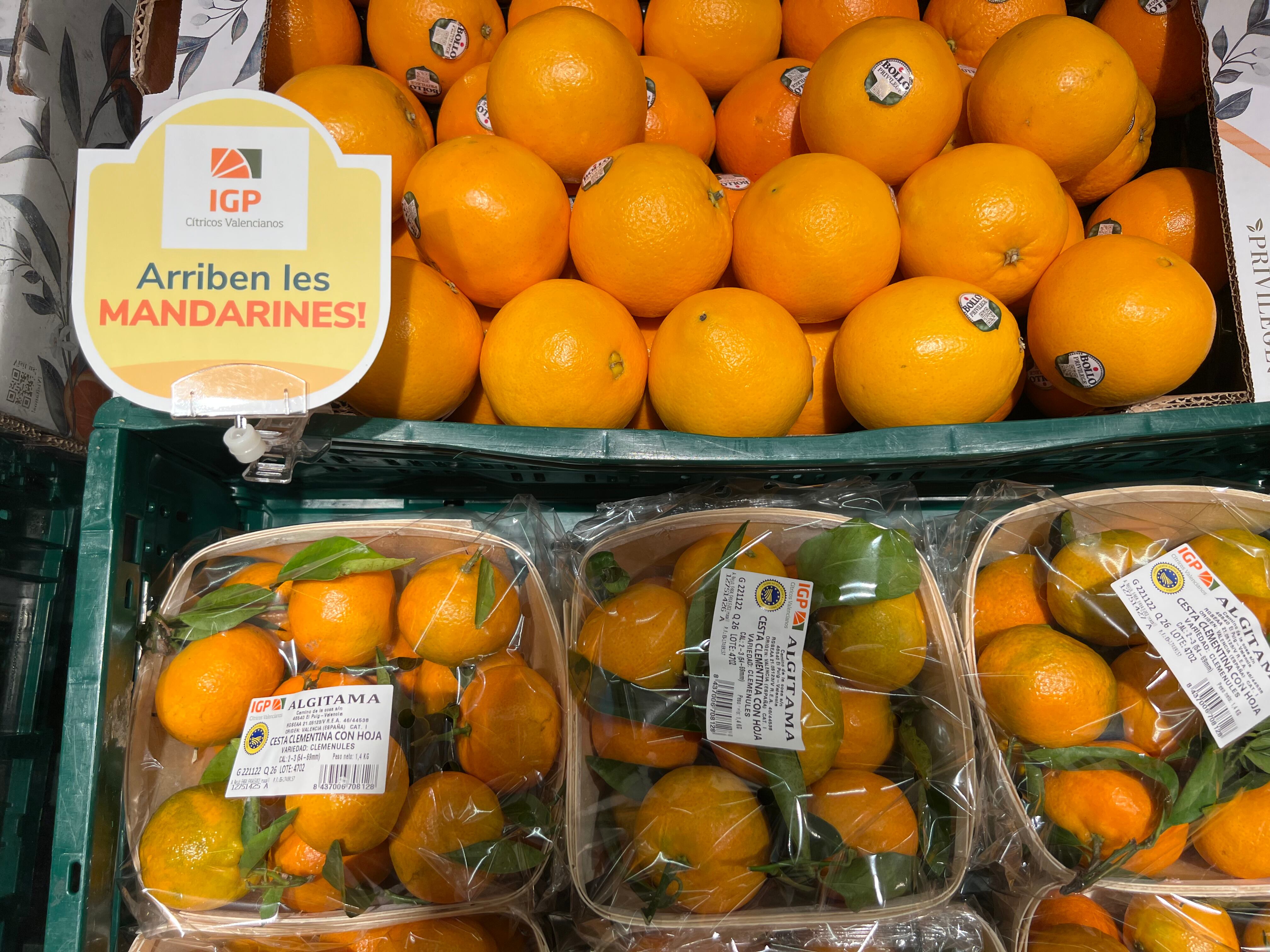 Consum vende solo naranjas y mandarinas con IGP en la Comunitat Valenciana, Cataluña y Murcia