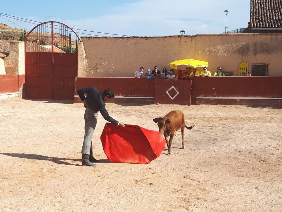 La Diputación de Castellón ha gastado este año casi 241.000 euros para la escuela taurina de la provincia