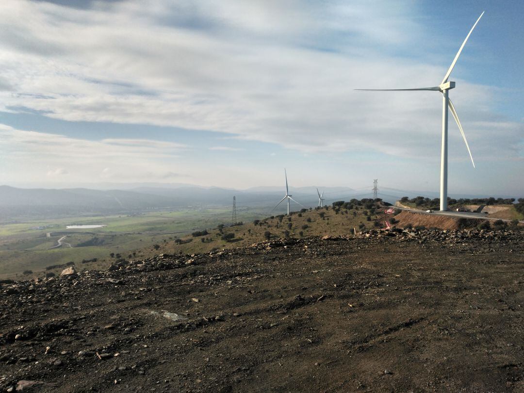 Victa de algunos de los aerogeneradores del Parque Eólico de Plasencia