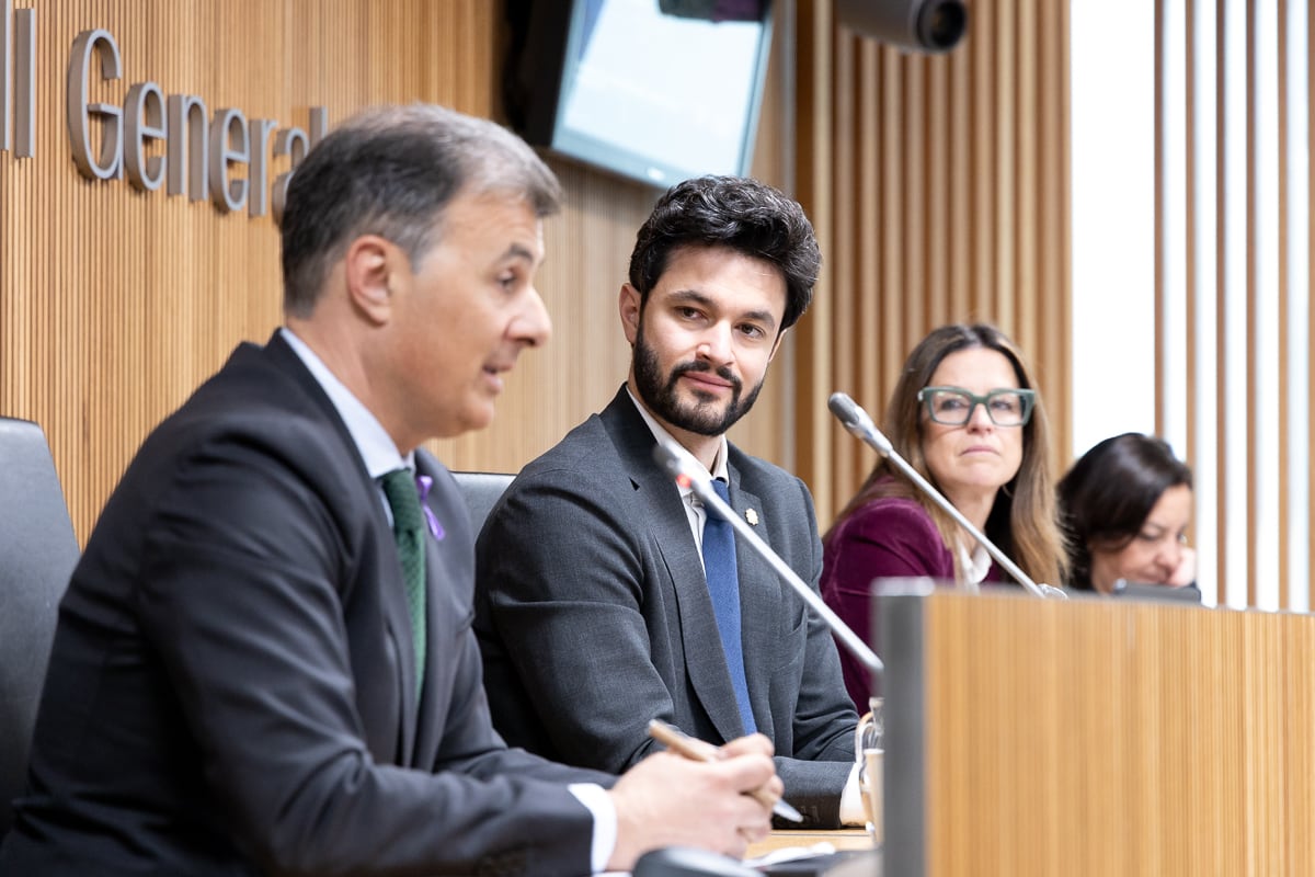 El secretari d&#039;Estat de Transformació Digital i Telecomunicacions, Marc Rossell, durant la compareixença legislativa al Consell General