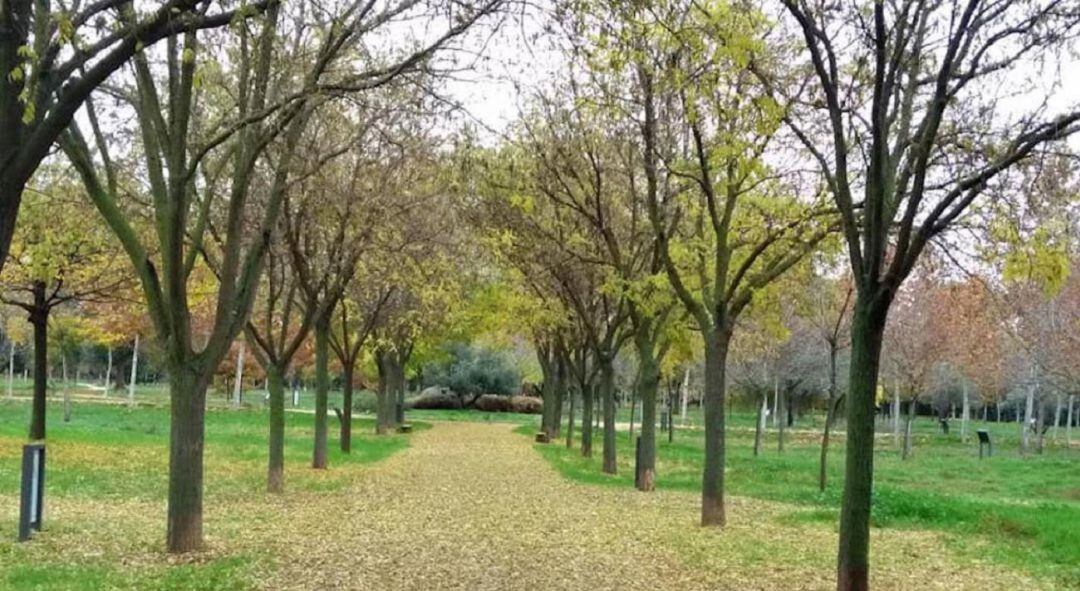 Arboreto Alcalá de Henares