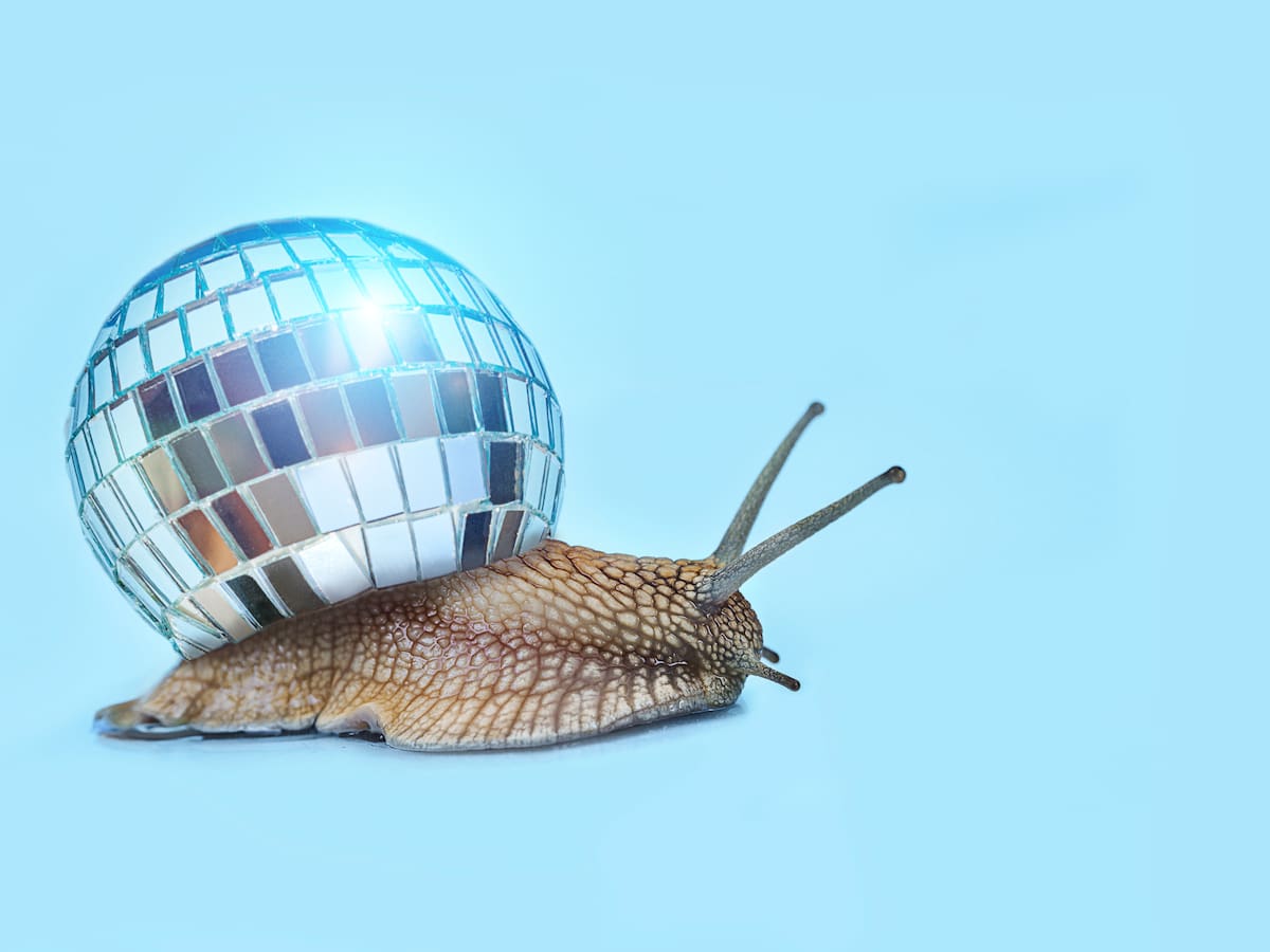 Recomendaciones navideñas de Miguel Díaz