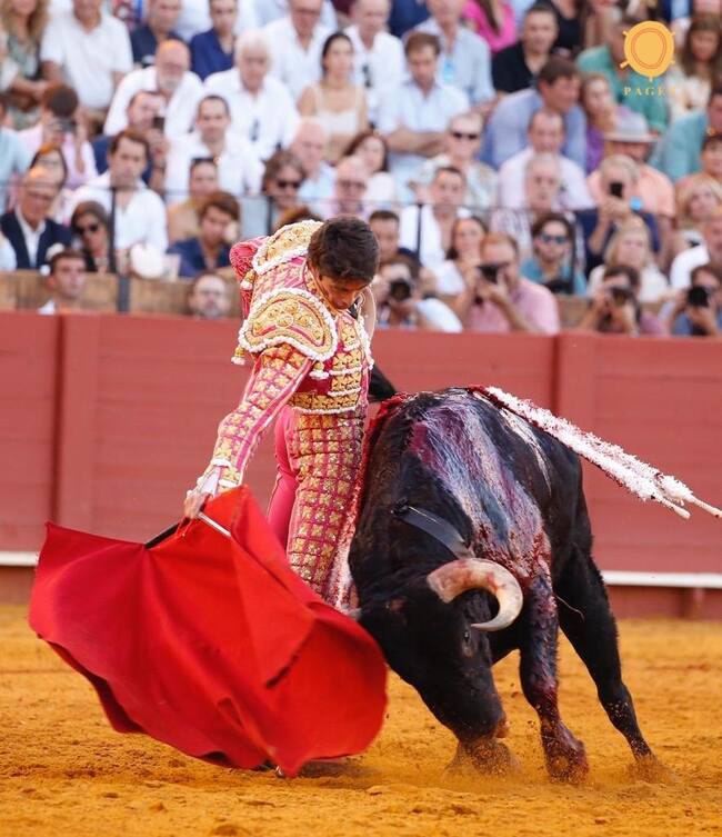 Castella en un hondo muletazo al toro al que le ha cortado las dos orejas