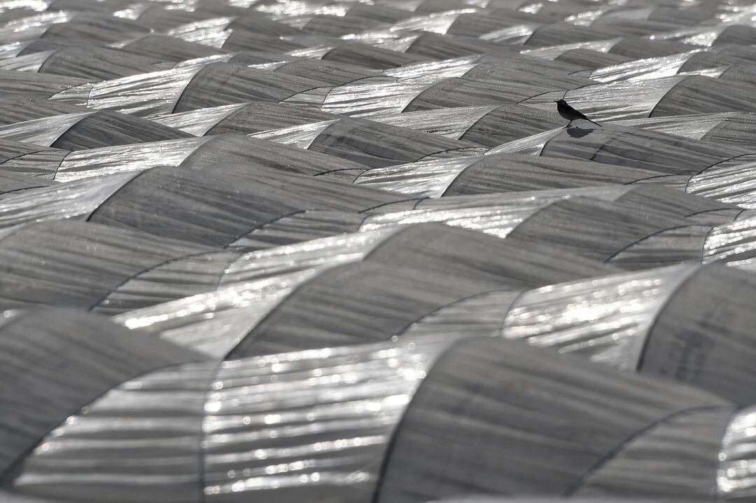 Proyectan construir en Lorca una planta que tratará 5.000 toneladas anuales de plásticos agrícolas.