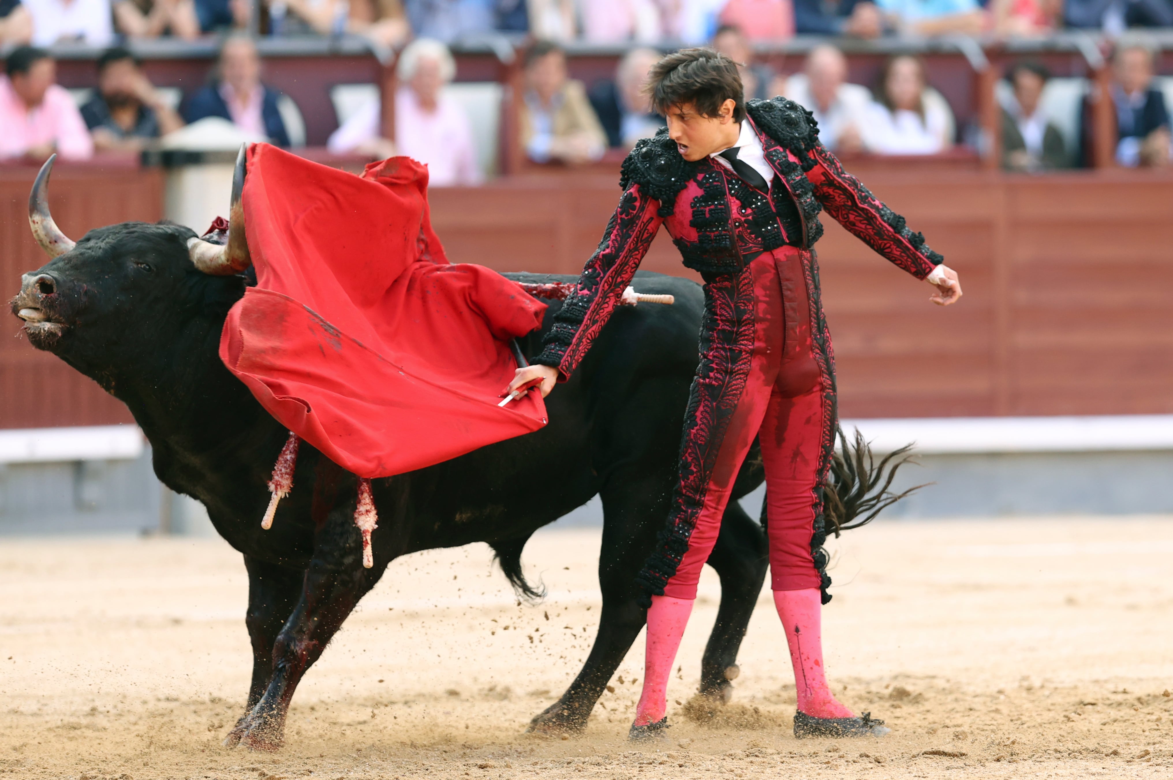 MADRID 11/06/2023.- El diestro Roca Rey durante la faena a su primer toro de la tarde, este domingo en Las Ventas en la corrida de toros ???? ????????????????  ????????´ ???????????? ????????, se lidian reses de Victoriano del Río y Cortés. EFE/ Kiko Huesca
