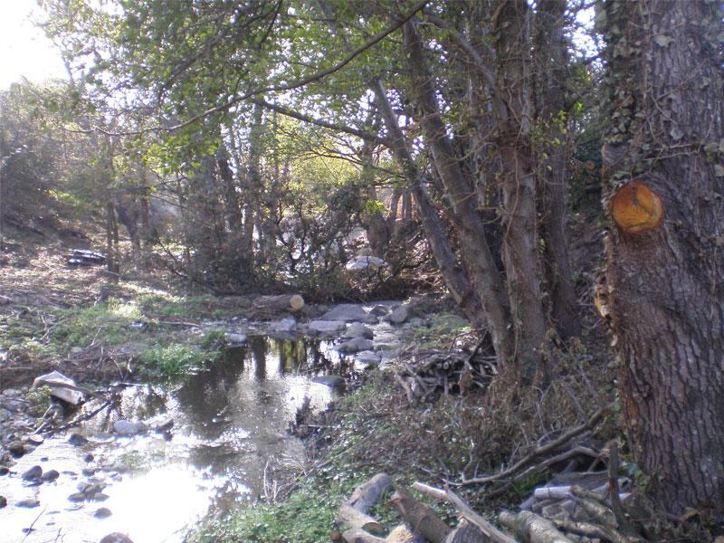 Riera de Torrelles de Cantallops