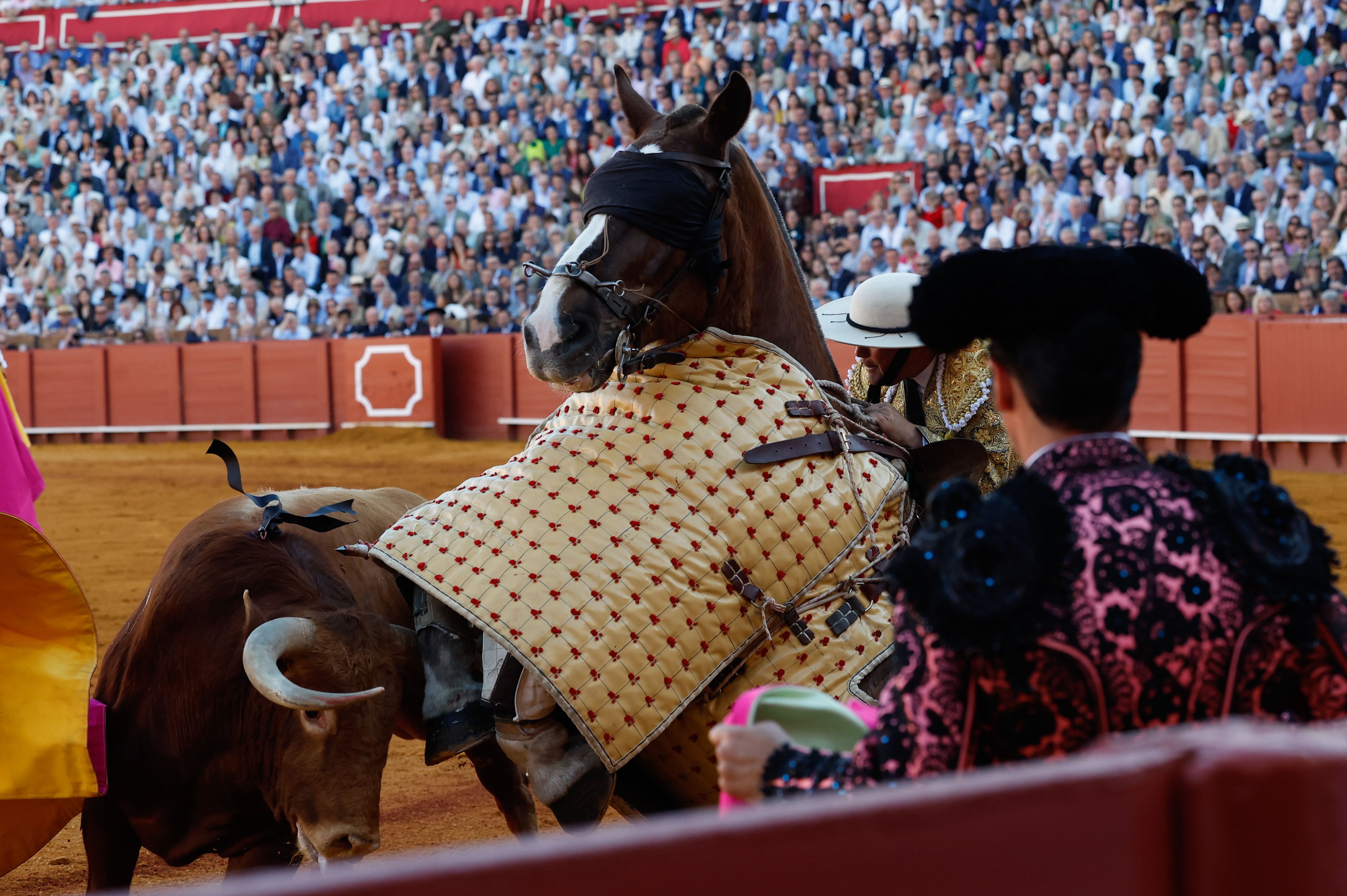 SEVILLA, 11/04/2024.- Percance con el caballo durante el segundo toro de la tarde en el quinto festejo de la Feria de Abril, este jueves en la plaza de toros de la Real Maestranza de Sevilla, con toros de Juan Pedro Domecq. EFE/ Julio Muñoz
