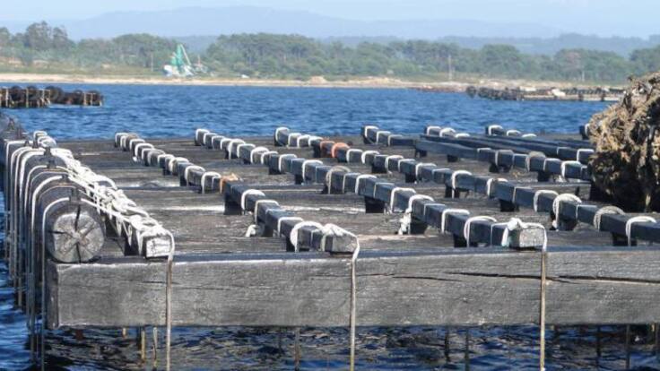 El “Veroño” amenaza la campaña de Navidad en el mar