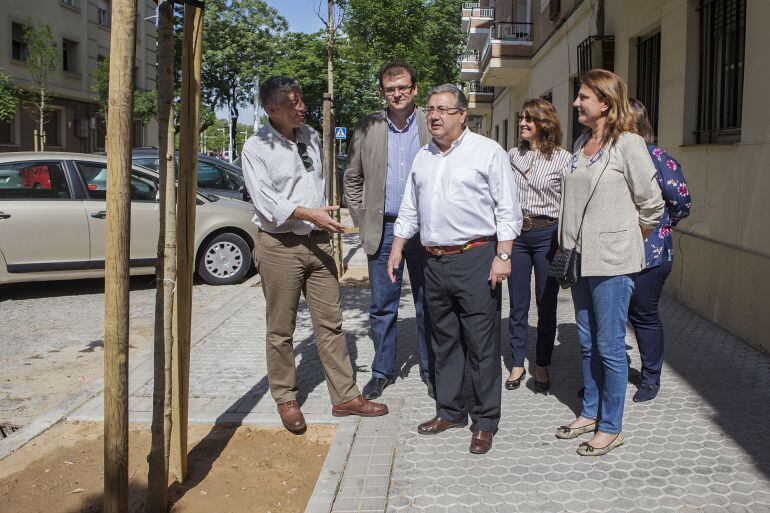 Zoido quiere por un plan que ponga orden al arbolado de la ciudad También anuncia una ordenanza que regularice la señalización del subsuelo
 