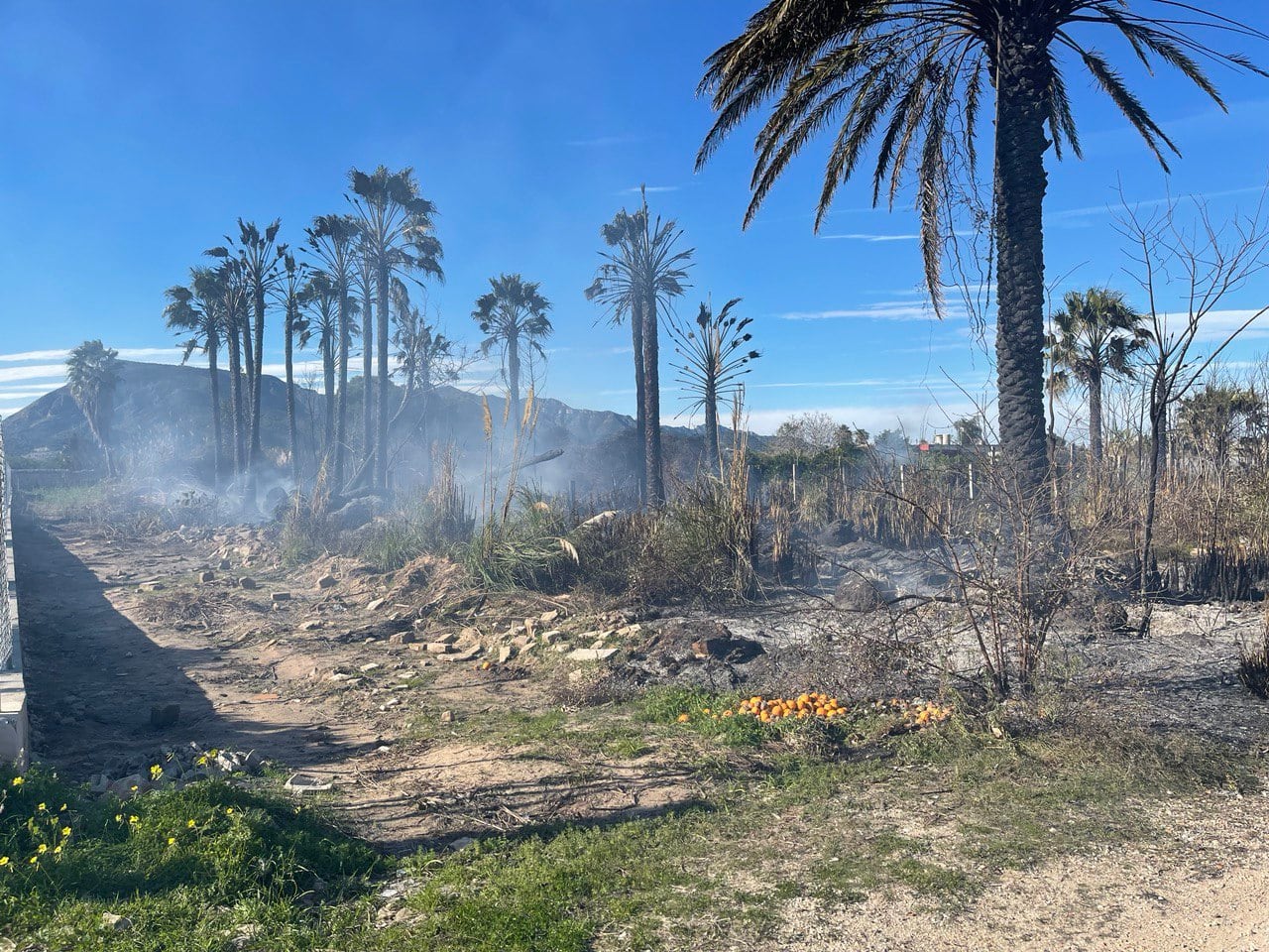 Imágenes del incendio en una zona rural de la playa de Tavernes de la Valldigna.