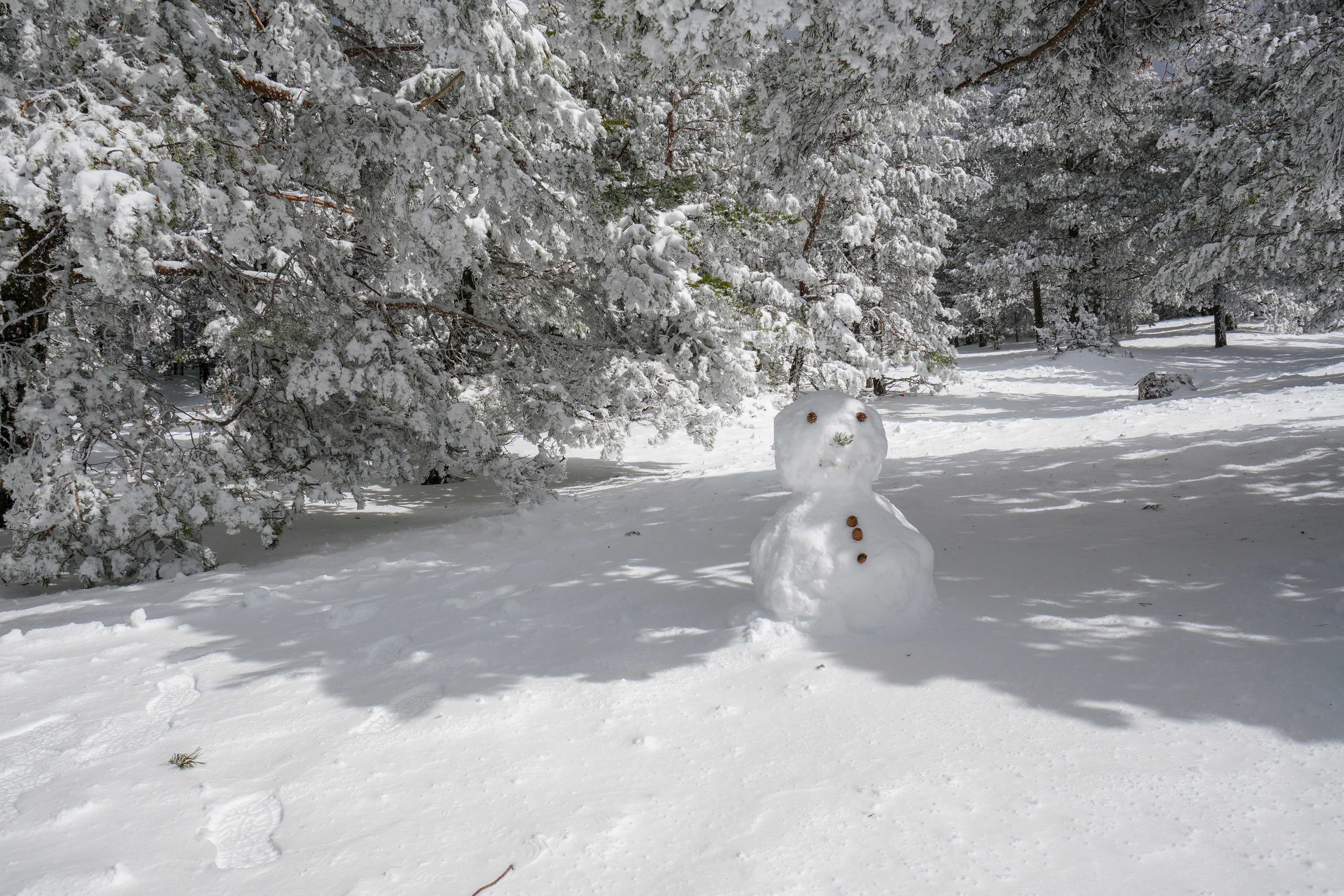 Marvelous winter landscape in the Gudar mountains with snow covered pine trees and snowman. Frosty outdoor scene in Valdelinares Teruel Aragon Spain