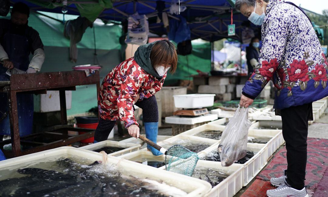 El mercado de Wuhan.