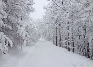 A les 12 del migdia del divendres, a la zona baixa de l'Estació (al refugi de la Pleta del Prat a 1.700m) hi havia de 40cm. a 50cm. de neu nova.