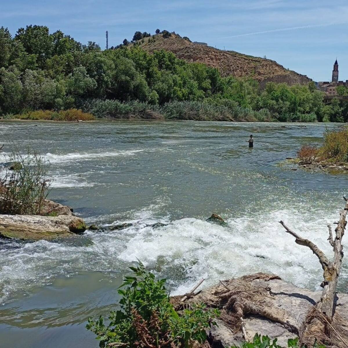 Finaliza el primer tratamiento contra la mosca negra en los ríos Cinca y Alcanadre