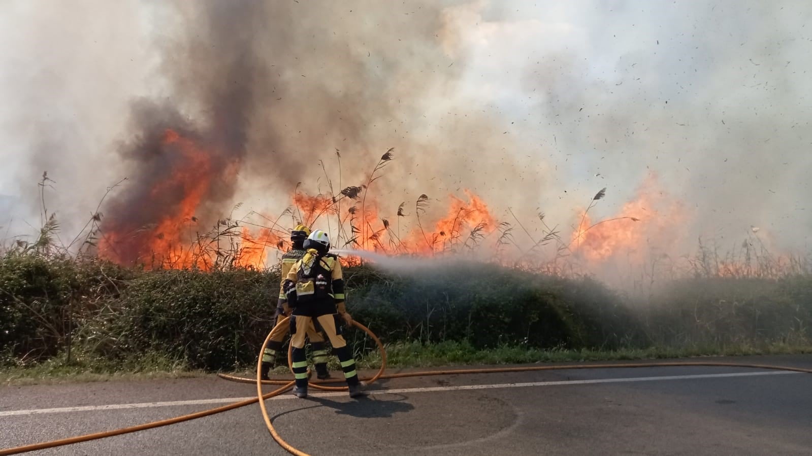 Imagen de archivo del incendio en ses Feixes