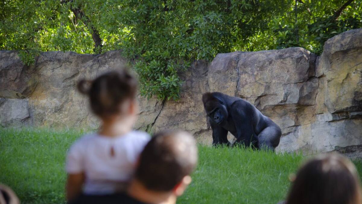 Ser Viajeros Comunitat Valenciana (28/09/2019)