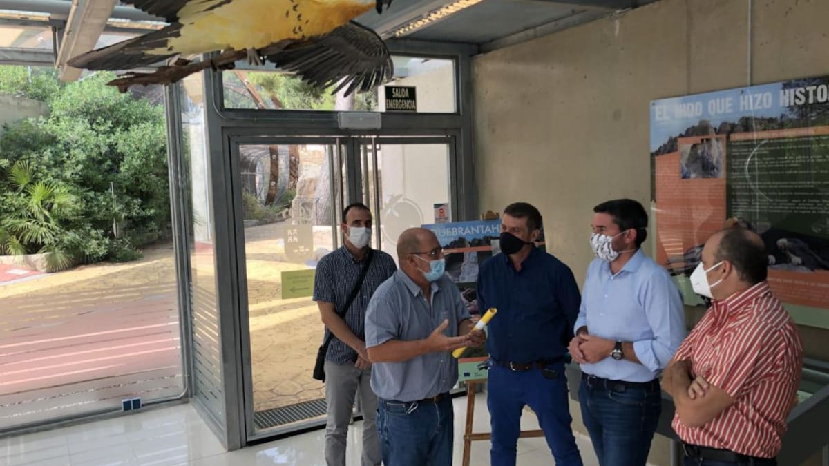 El nido de quebrantahuesos considerado el más antiguo del mundo está en Murcia