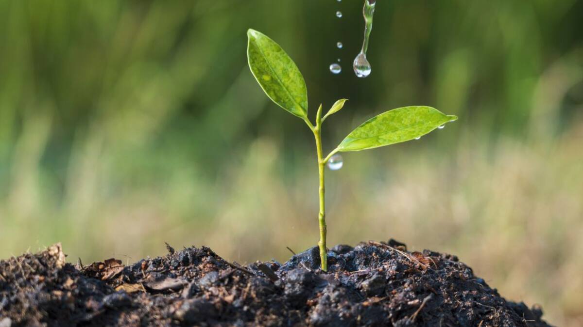 La tarifa de agua para riego aumentará un 22% si se reduce el Trasvase, según el SCRATS