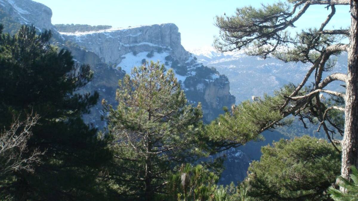 La Recompensa. Capítulo 6. De ruta por Cazorla. Con Aristóteles Moreno y José Juan Luque