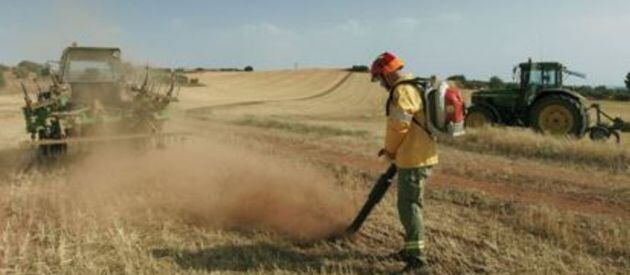 Las sopladoras son útiles en la extinción de incendios en rastrojos.