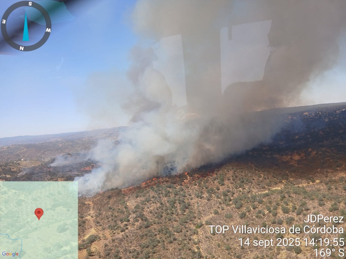 Incendio forestal declarado en Pozoblanco este domingo