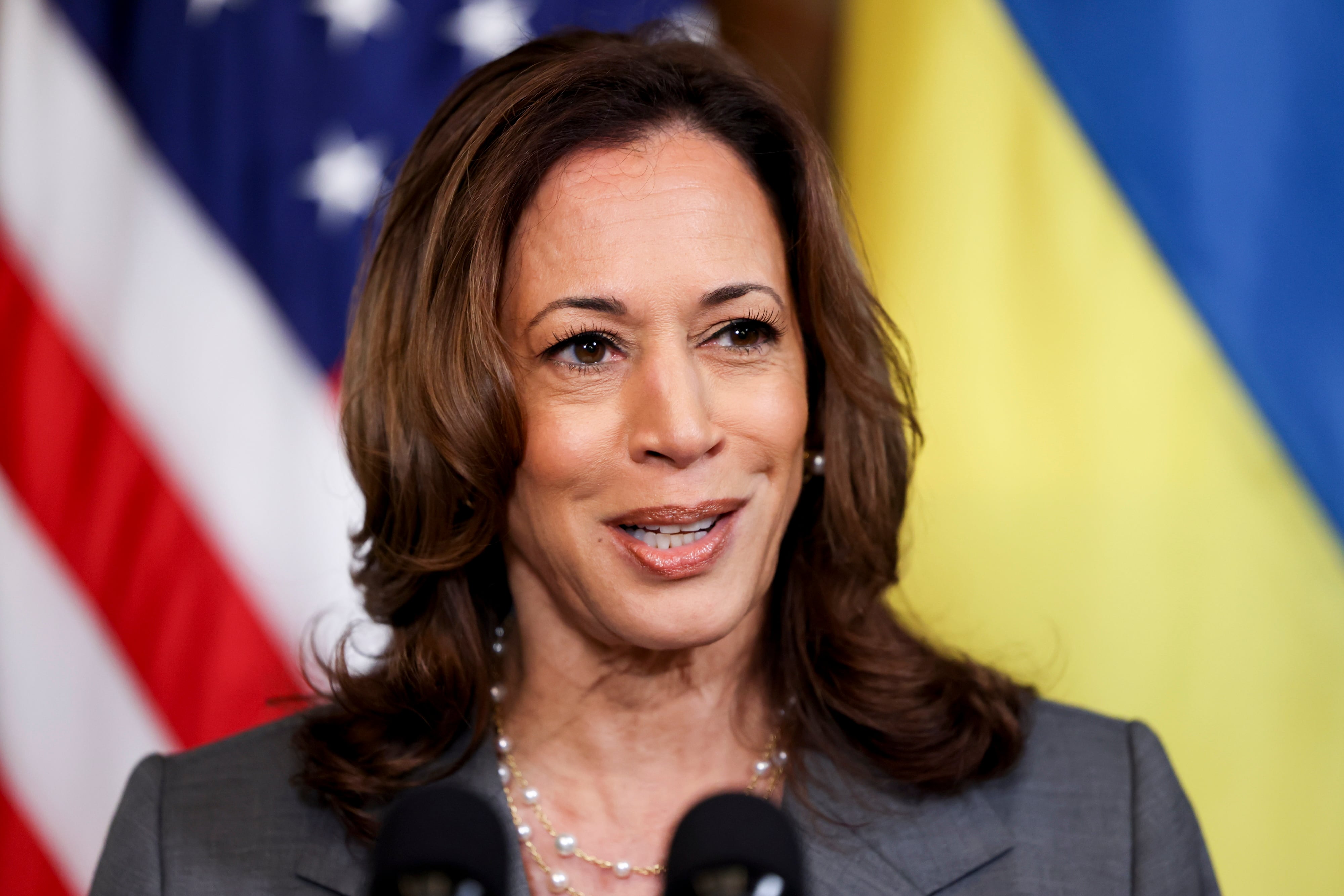 Kamala Harris se dirige a los medios después de su reunión con el presidente de Ucrania, Zelensky. Archivo.