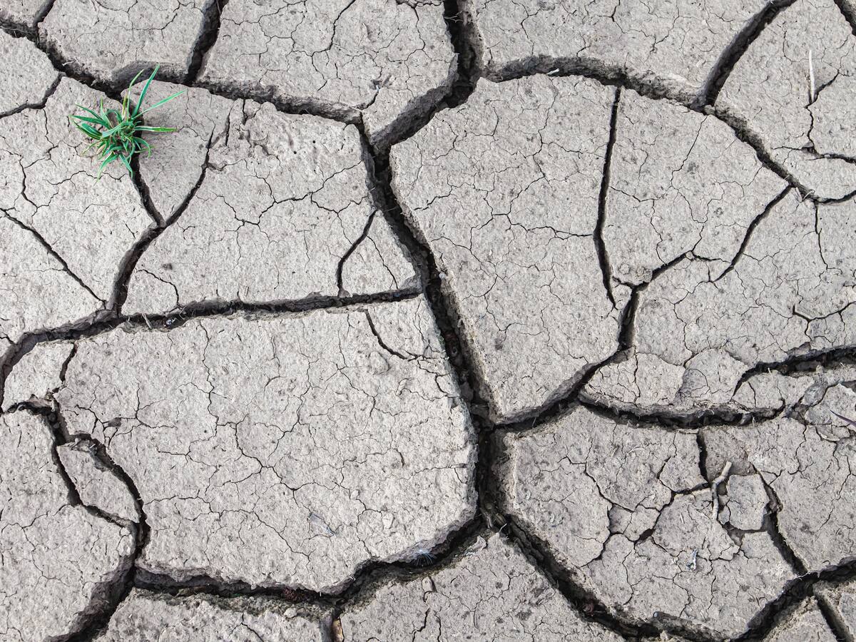 La sequía: un problema a pie de tierra que incumbe a todos como consumidores