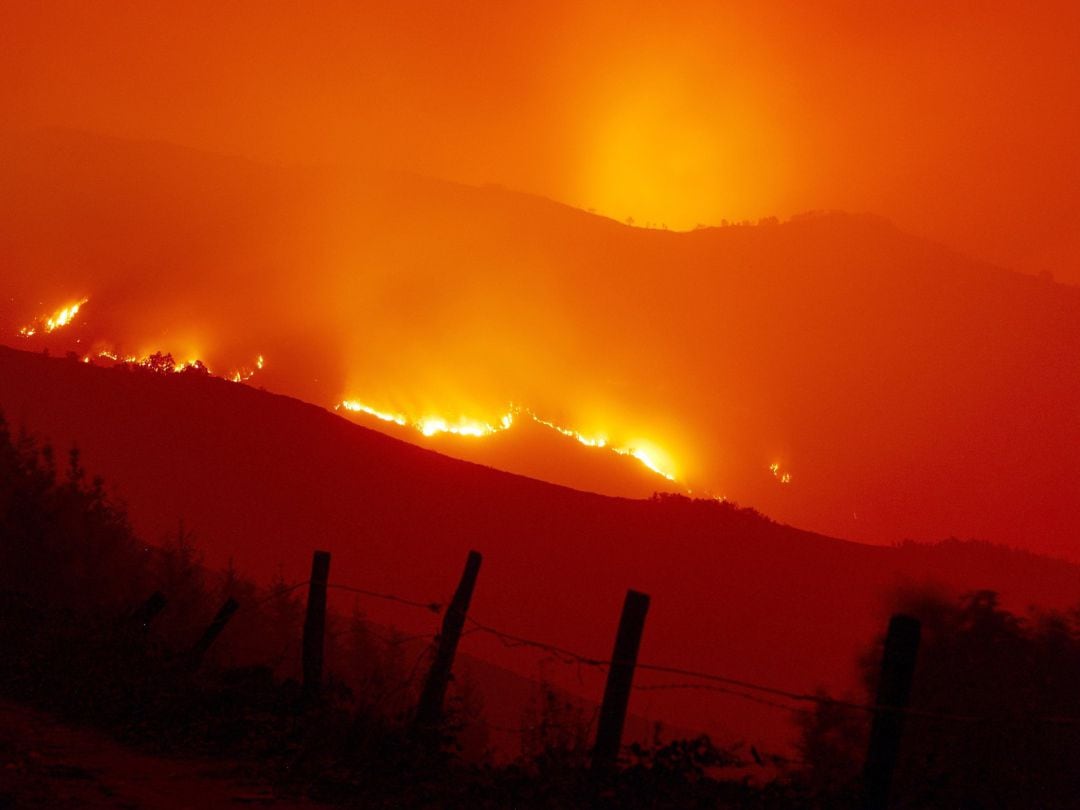 Según los técnicos los incendios son cada vez más devastadores a raíz del cambio climático que ha cambiado los bosques