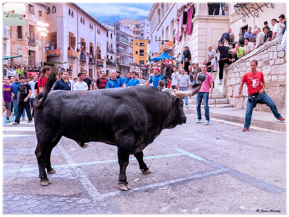 Bou en corda a Ontinyent// Foto: Juan Álvarez Fotografia