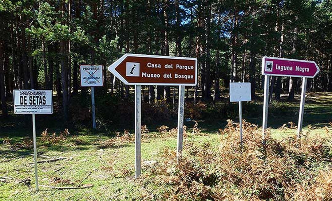 Acceso a la Laguna Negra