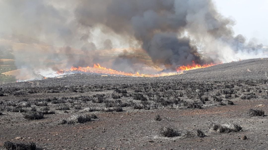 Frente del incendio en el paraje Las Quebradas