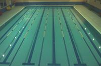 La actividad se lleva a cabo en la Piscina del Parque este sábado