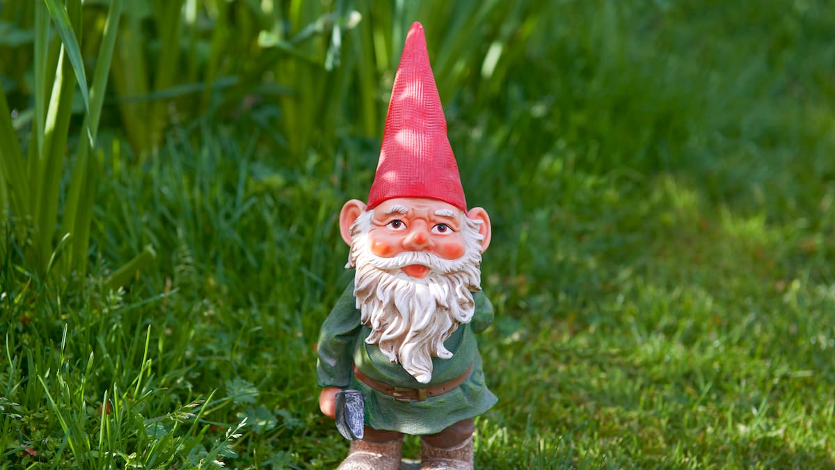 El mundo de las hadas