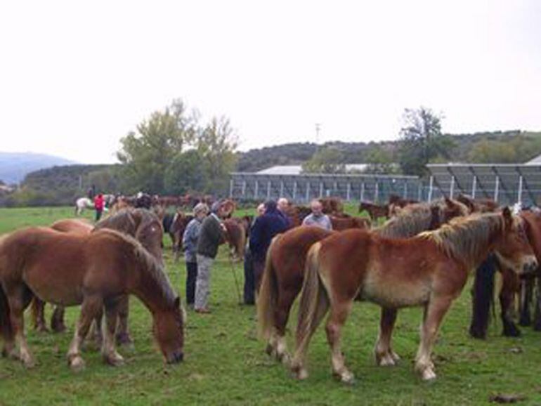 Feria del caballo