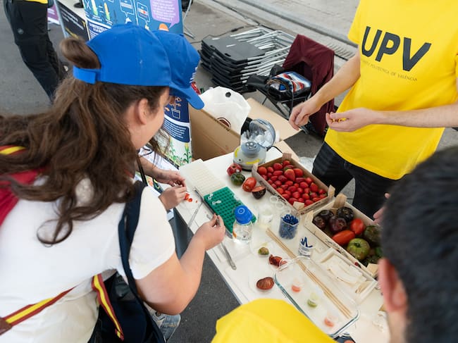 Feria de los Inventos UPV