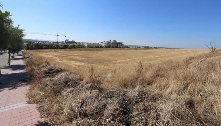 Solar destinado a la construcción del instituto en La Cistérniga