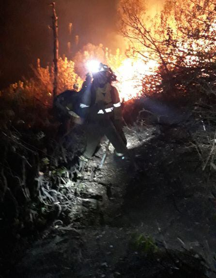 Efectivos del INFOCA trabajando anoche en el incendio entre Casares y Estepona