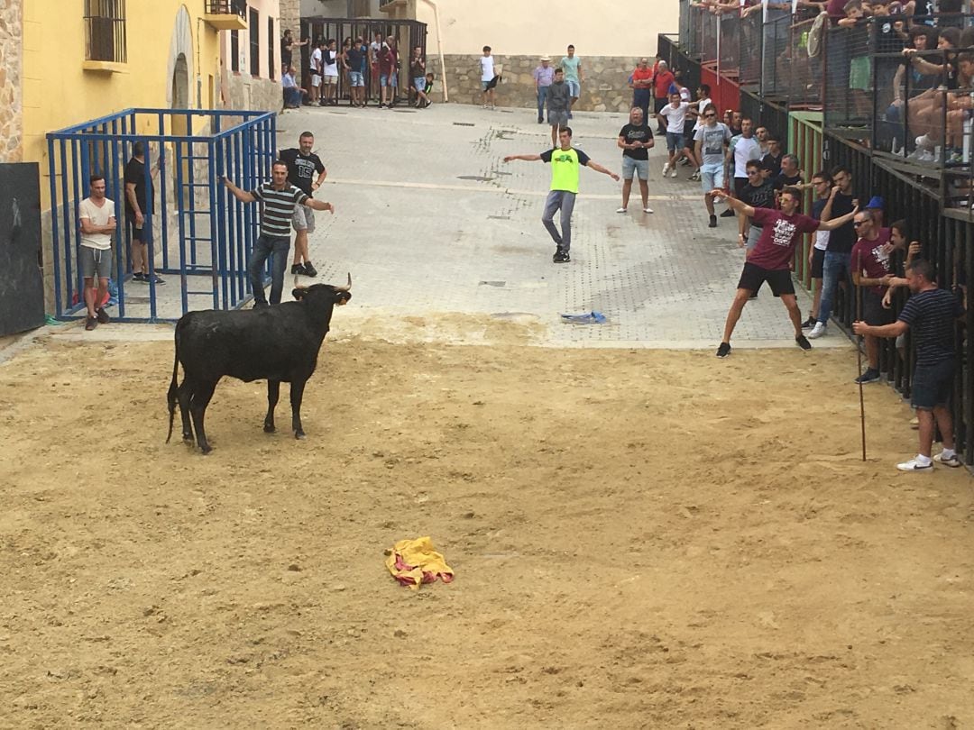 Bous al carrer