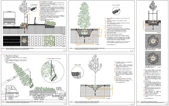 Detalles de la plantación de la arboleda