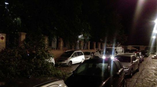 Las ramas caídas tapan los coches aparcados en la Subida de la Granja en Toledo