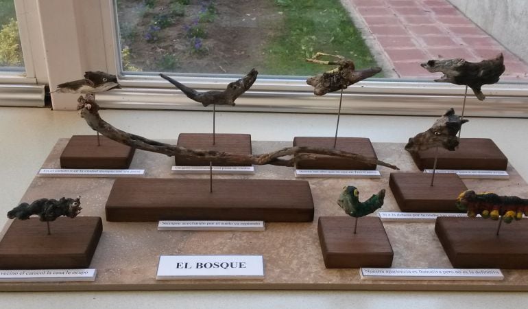 Piezas de la exposición Maderauna de Rocío Morcillo. En el Aula de la Naturaleza de Sanse hasta el 18 de diciembre