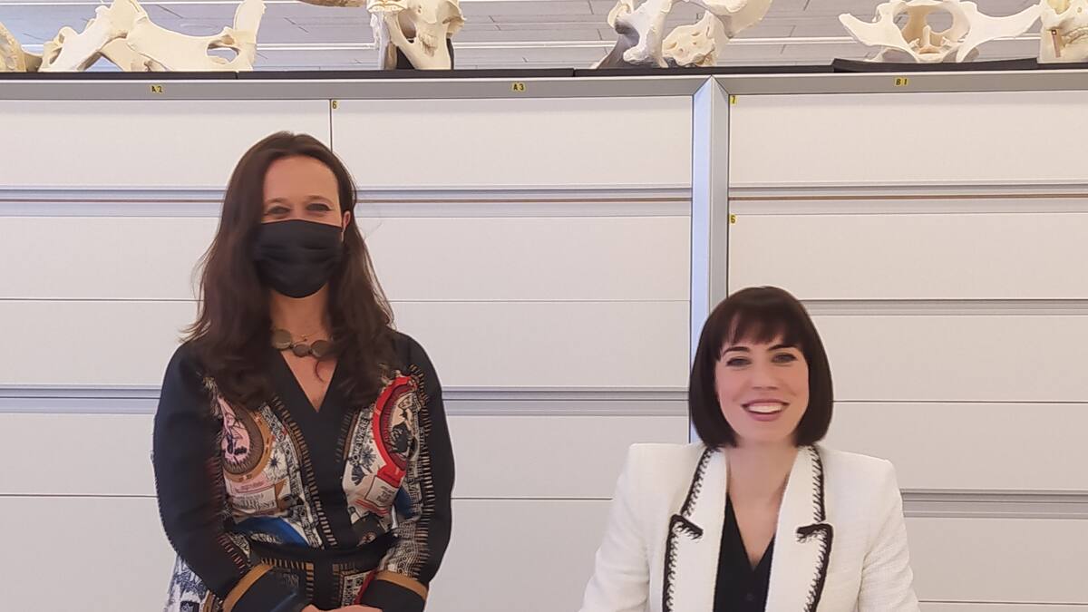 El Ministerio de Ciencia e Innovación y los fondos europeos respaldan los proyectos emergentes del CENIEH