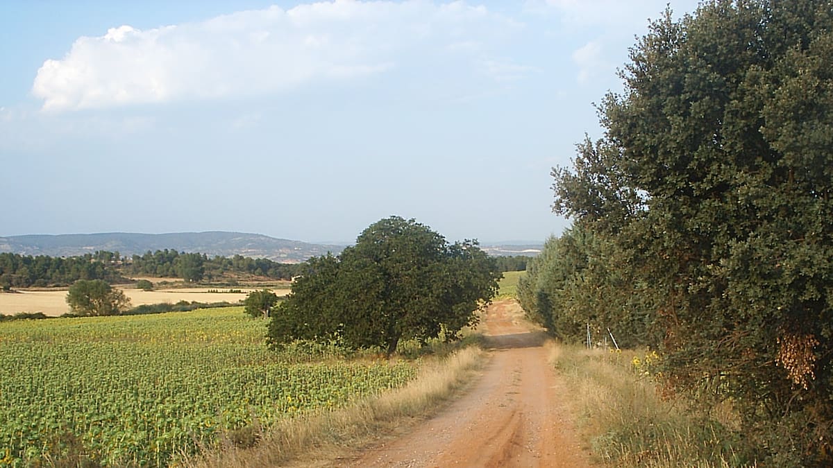 Naturaleza, bellotas y chocolate: una ruta por Jábaga y los altos de Cabrejas