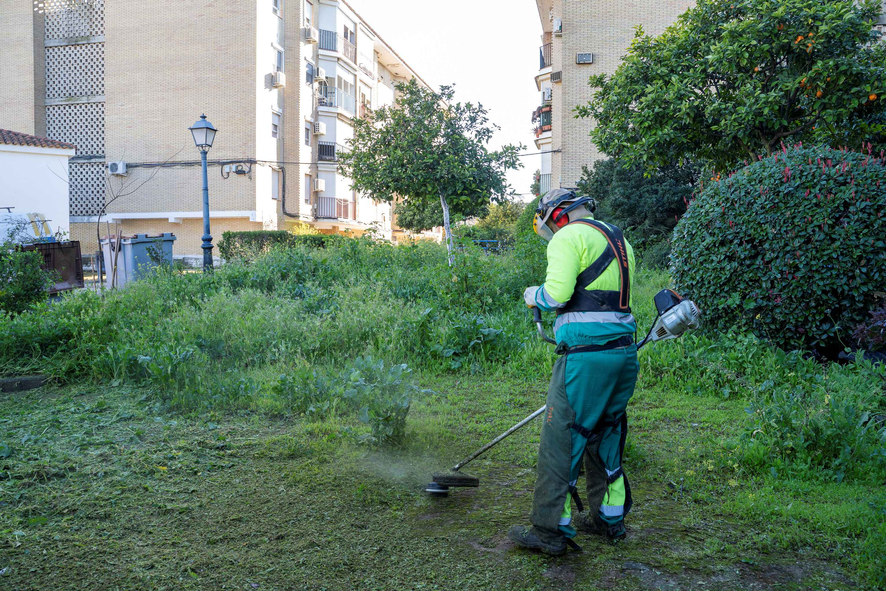 Mairena licita la ampliación del servicio municipal de jardinería por 913.000 euros