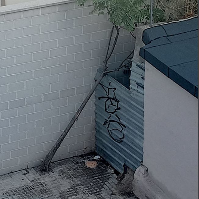 orines, suciedad e incluso árboles rotos estas fiestas