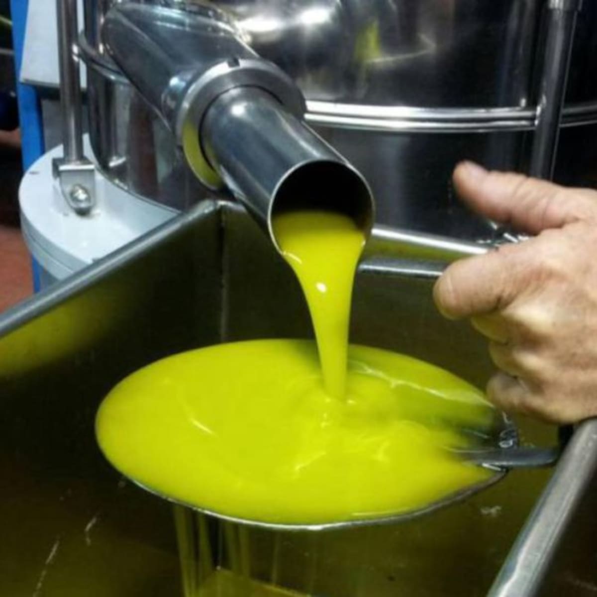 Las exportaciones de aceite de oliva subieron en 2005 un 73% más con respecto al año anterior