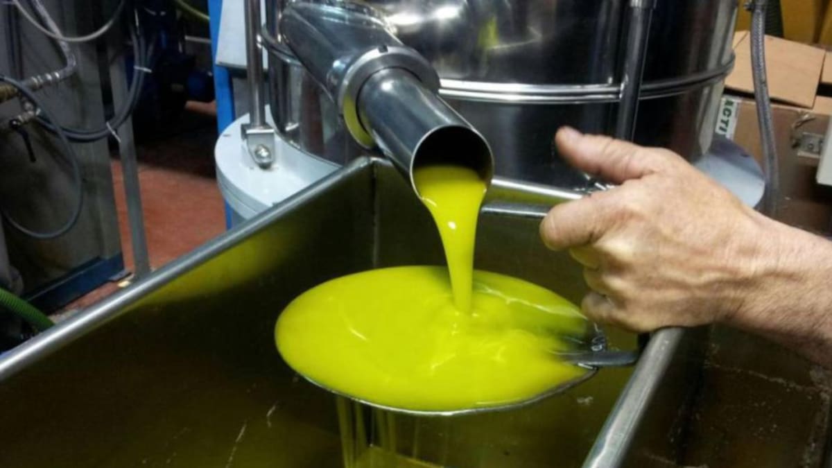 Jaraíz (25/11/2023)