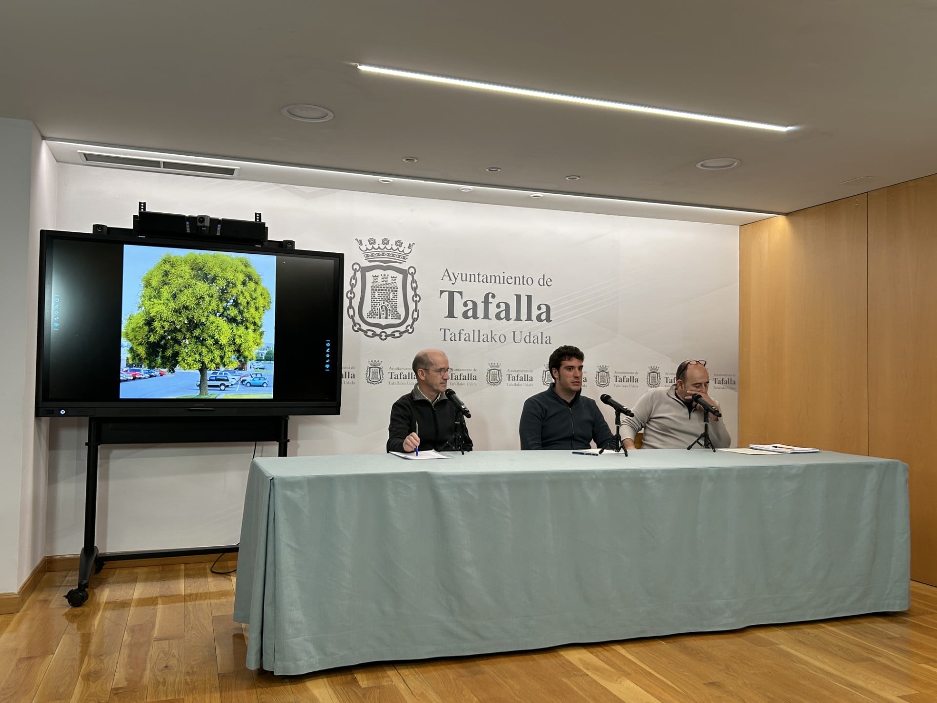 Presentación del plan de renovación de árboles en Tafalla