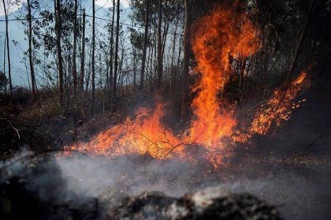 Incendio en Cantabria.