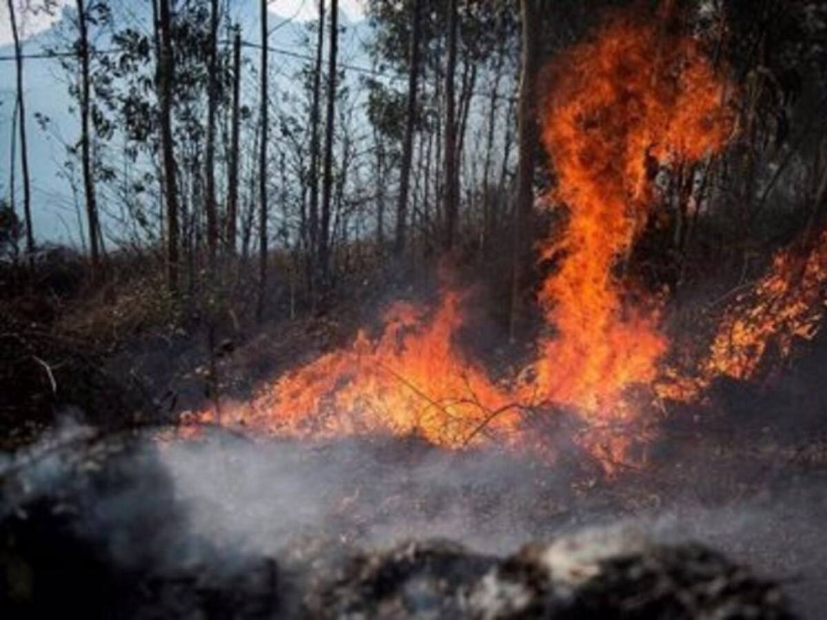 Cantabria reforzará la vigilancia y persecución de incendiarios